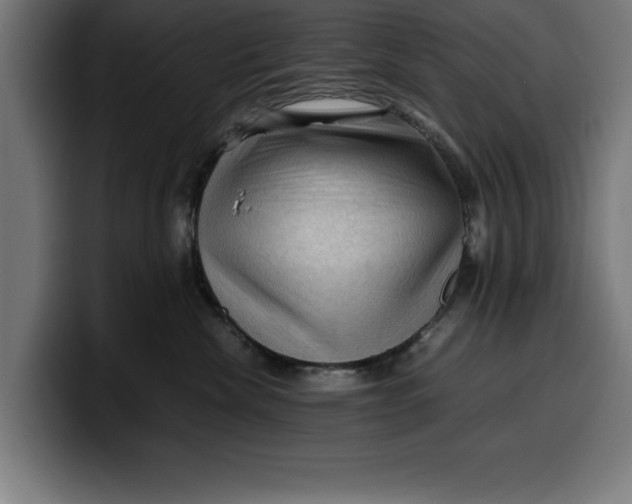 X0000099980476200806131403