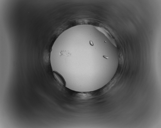 X0000099980477200806131403