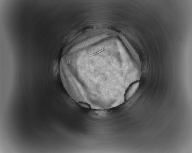 X0000099980478200806131403