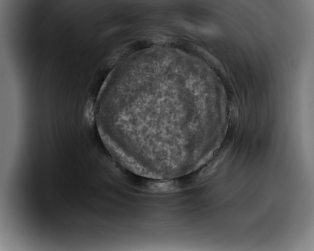 X0000099980479200806131403