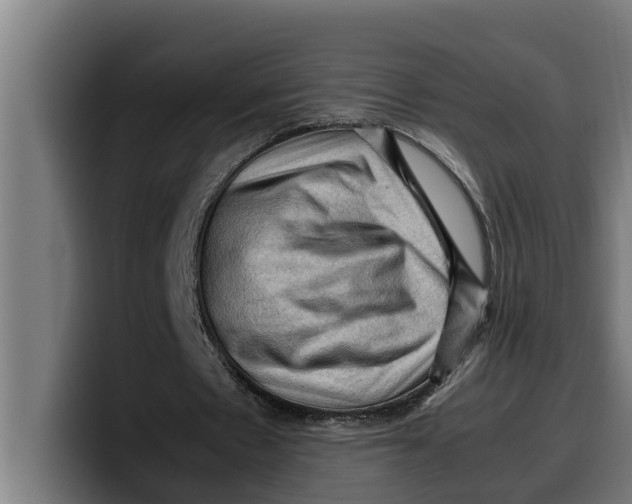 X0000099980481200806131402