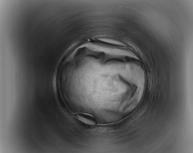 X0000099980482200806131402