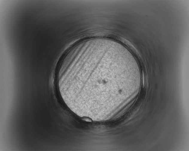 X0000099980483200806131402