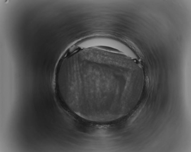 X0000099980484200806131402