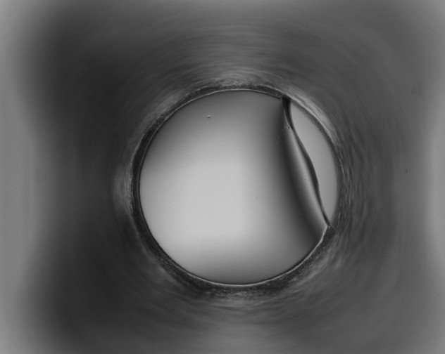 X0000099980485200806131402