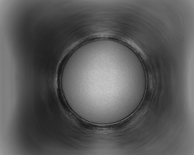 X0000099980486200806131402