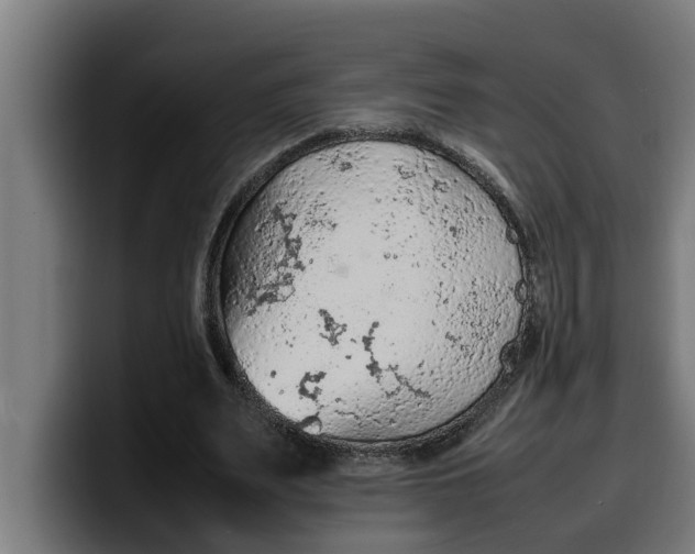 X0000099980487200806131402