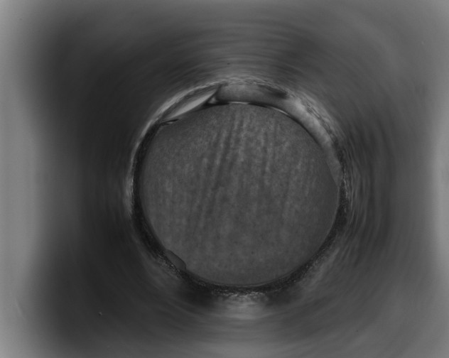 X0000099980488200806131402