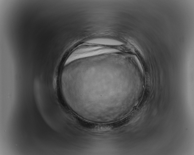 X0000099980491200806131402