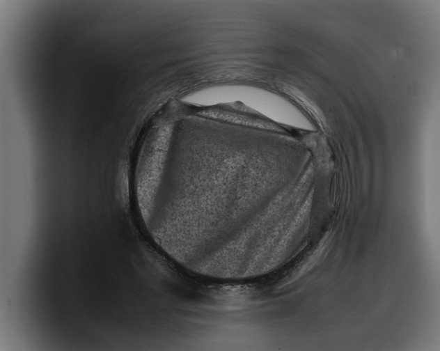 X0000099980493200806131402