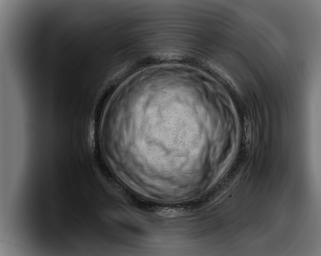 X0000099980494200806131402