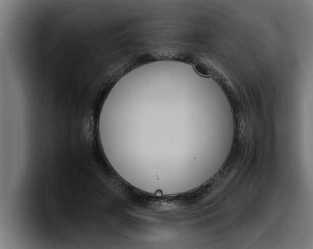 X0000099980498200806131402