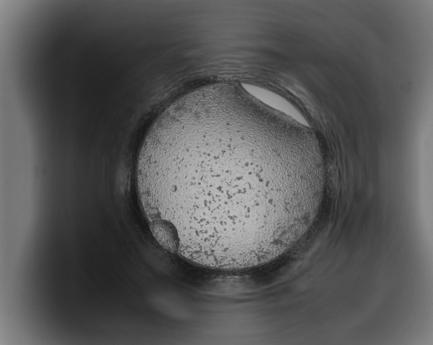 X0000099980499200806131402