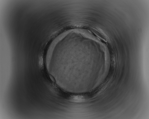 X0000099980500200806131402