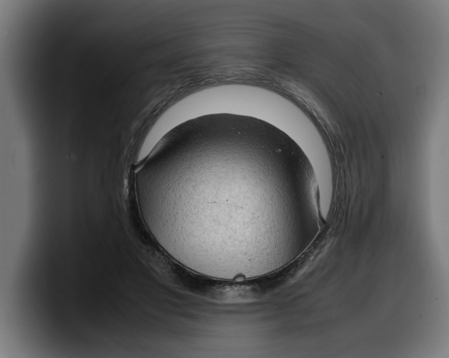 X0000099980501200806131402