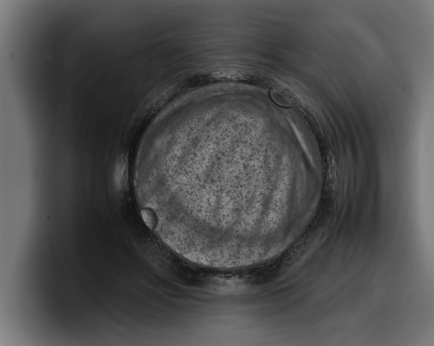 X0000099980502200806131402