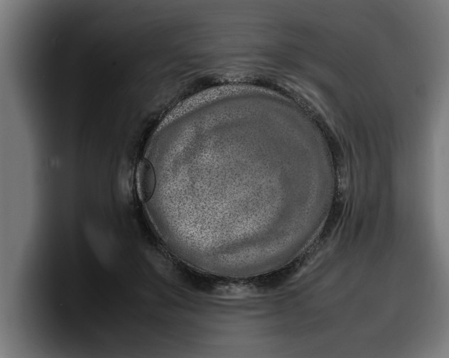 X0000099980503200806131402