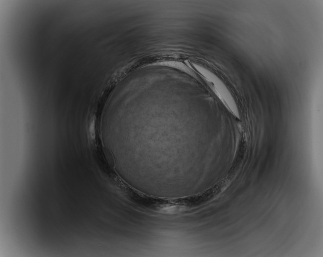 X0000099980504200806131402