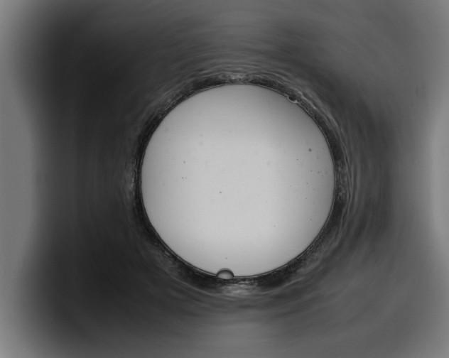 X0000099980505200806131402