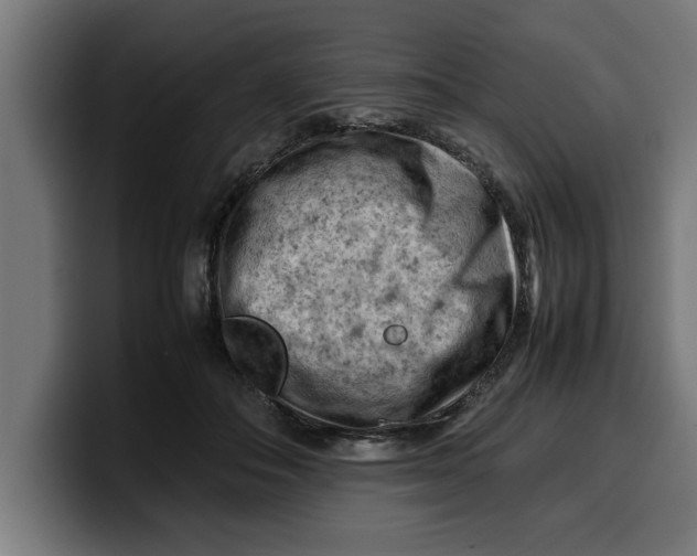 X0000099980506200806131402