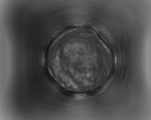 X0000099980508200806131402