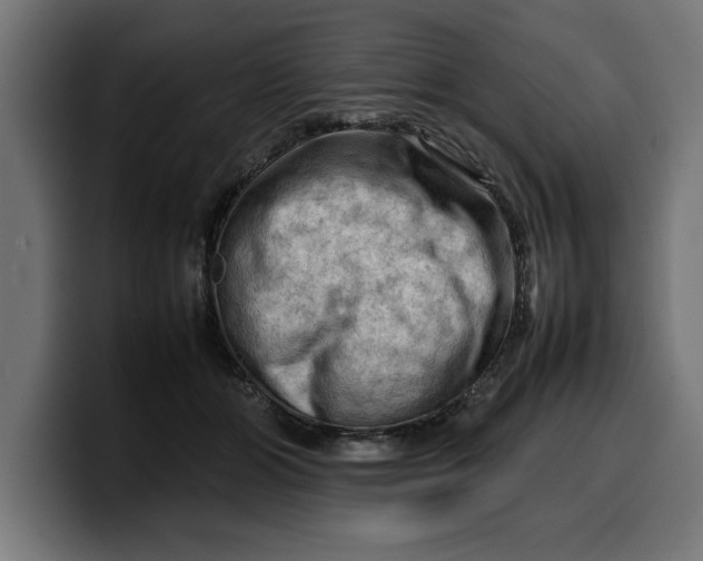 X0000099980510200806131402