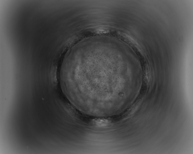 X0000099980512200806131402