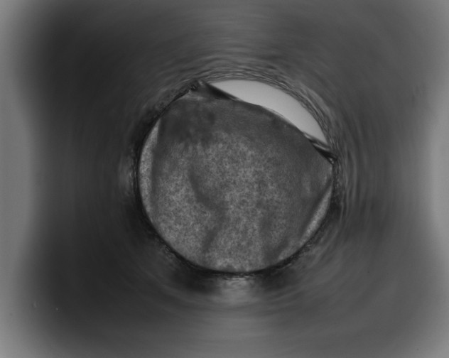 X0000099980513200806131402