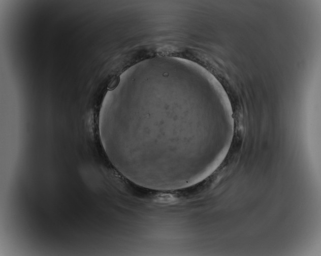 X0000099980519200806131402