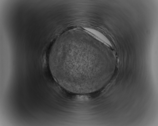 X0000099980520200806131402