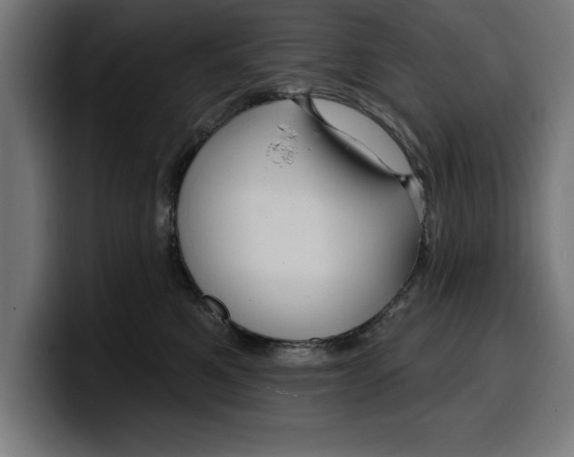 X0000099980521200806131402