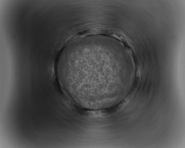 X0000099980524200806131402