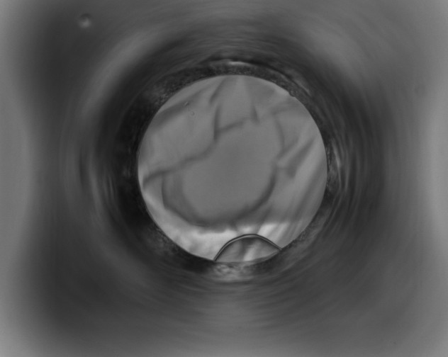 X0000099980526200806131402