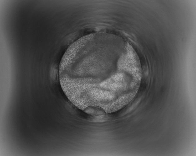 X0000099980527200806131402