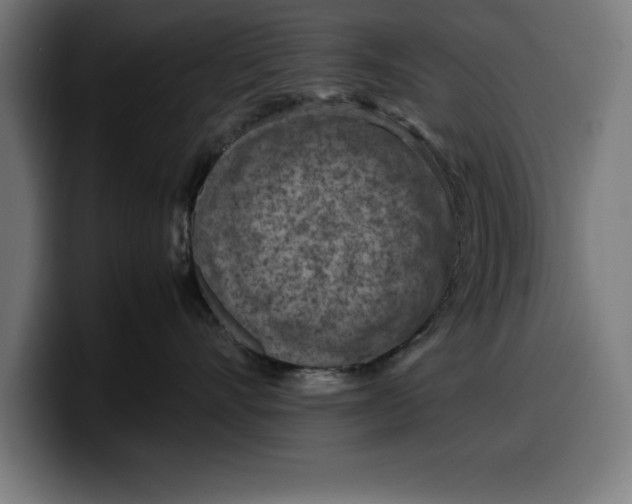 X0000099980528200806131402