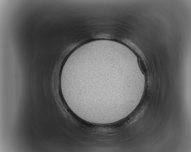 X0000099980529200806131401