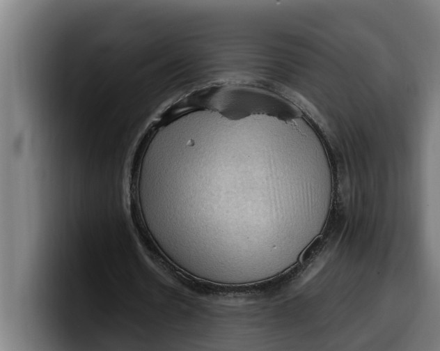 X0000099980530200806131401