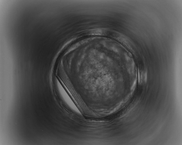 X0000099980531200806131401