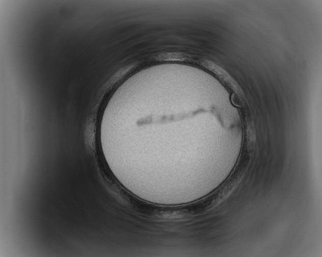 X0000099980533200806131401