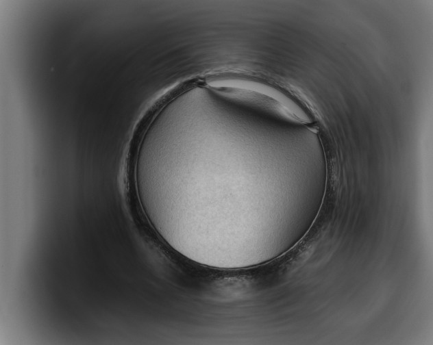 X0000099980536200806131401