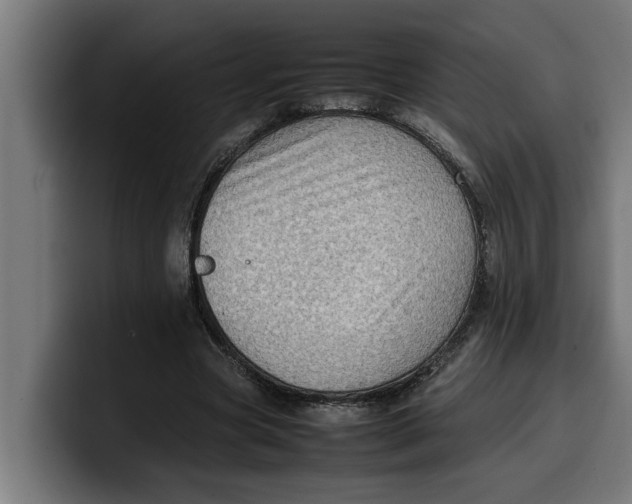 X0000099980537200806131401