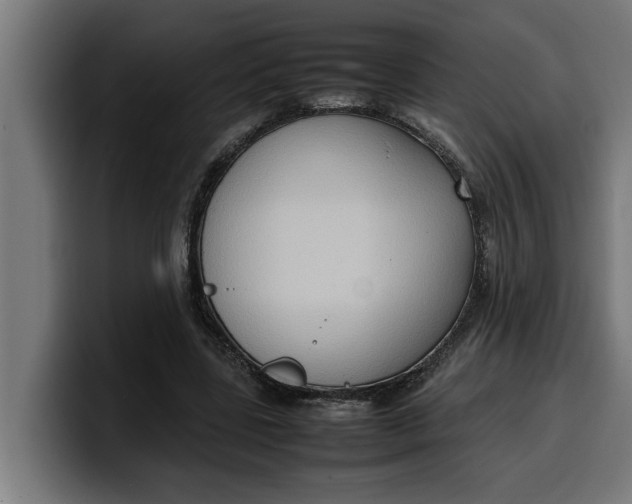 X0000099980539200806131401