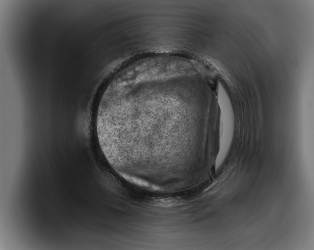 X0000099980540200806131401