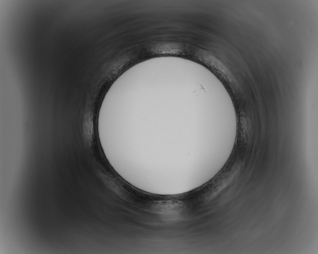 X0000099980541200806131401