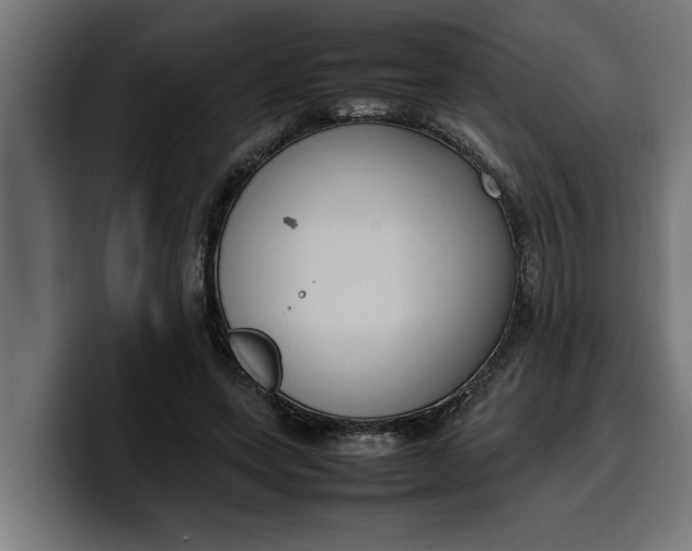 X0000099980543200806131401