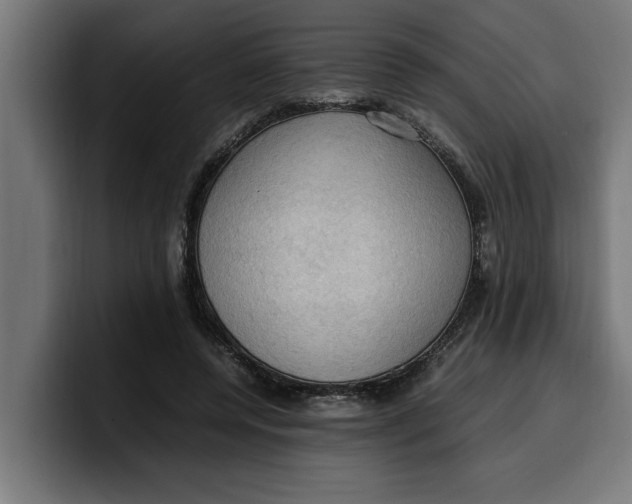 X0000099980544200806131401