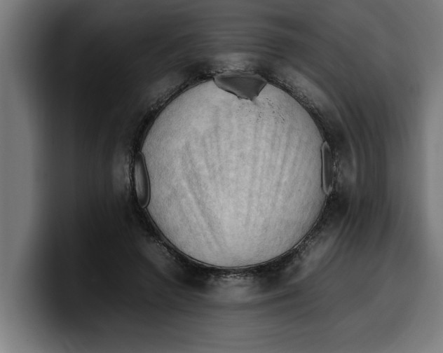 X0000099980546200806131401