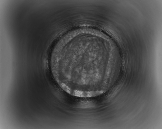 X0000099980547200806131401