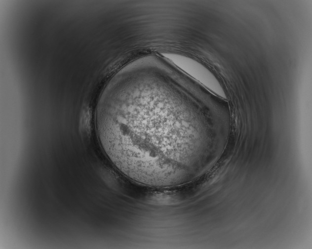 X0000099980550200806131401