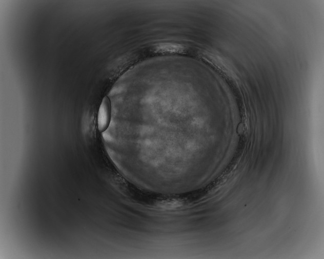 X0000099980551200806131401